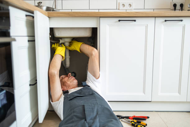 Best Commercial Plumbing Services  in Graysville, TN